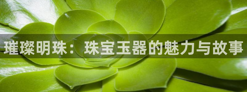 开丰娱乐左：璀璨明珠：珠宝玉器的魅力与故事