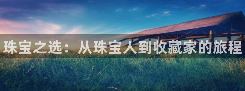 开丰娱乐巾67五壹叁八：珠宝之选：从珠宝人到收藏家的旅程
