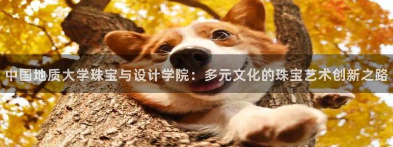 开丰娱乐注册电7O777：中国地质大学珠宝与设计学院：多元文化的珠宝艺术创新之路