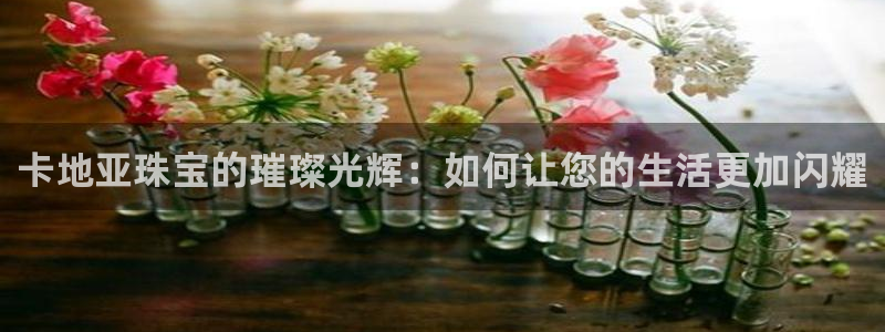 开丰娱乐官网招聘：卡地亚珠宝的璀璨光辉：如何让您的生活更加闪耀