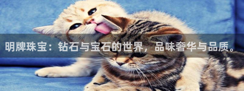 开丰娱乐平台注册时间：明牌珠宝：钻石与宝石的世界，品味奢华与品质。