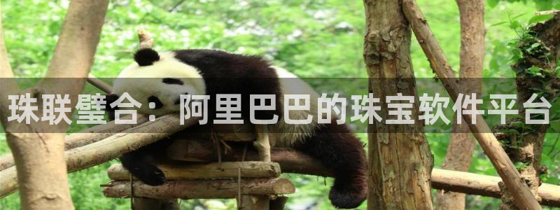 开丰娱乐予 7O935