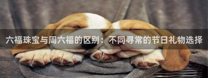 开丰娱乐登入地址查询：六福珠宝与周六福的区别：不同寻常的节日礼物选择