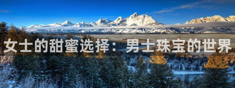 开丰娱乐平台注册：女士的甜蜜选择：男士珠宝的世界