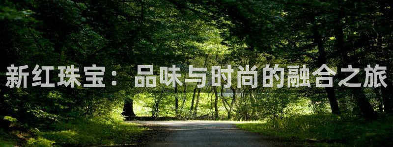 开丰娱乐网站官网：新红珠宝：品味与时尚的融合之旅