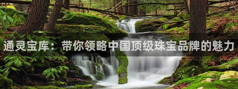 开丰娱乐官网平台：通灵宝库：带你领略中国顶级珠宝品牌的魅力