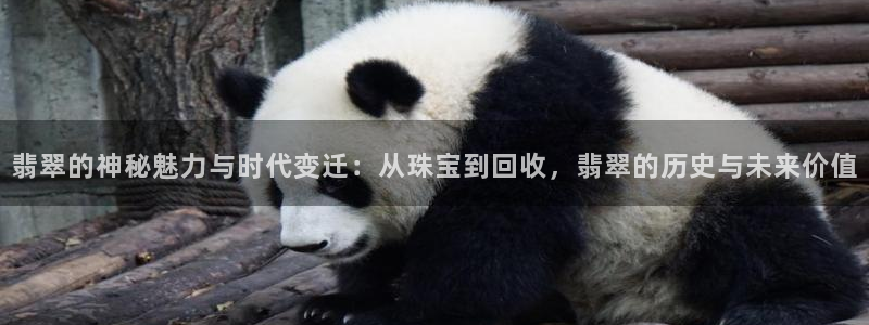 开丰娱乐月：翡翠的神秘魅力与时代变迁：从珠宝到回收，翡翠的历史与未来价值