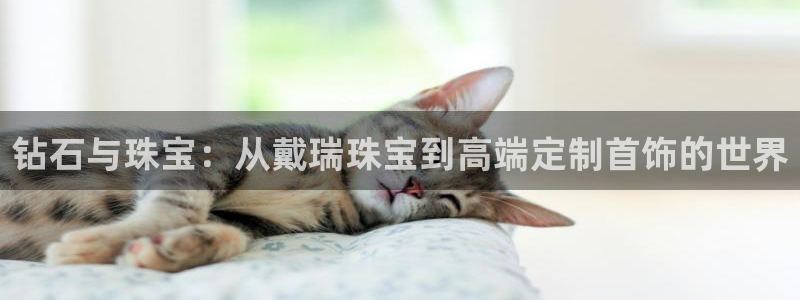 开丰娱乐测速：钻石与珠宝：从戴瑞珠宝到高端定制首饰的世界