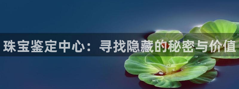 开丰娱乐网站官网下载：珠宝鉴定中心：寻找隐藏的秘密与价值