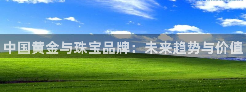 开丰娱乐平台登录网址：中国黄金与珠宝品牌：未来趋势与价值
