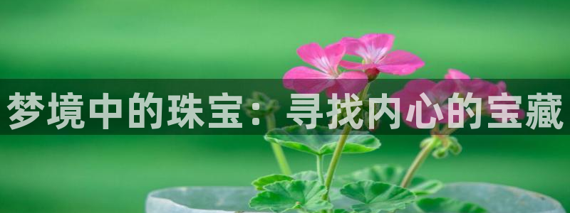开丰娱乐官网平台电话：梦境中的珠宝：寻找内心的宝藏