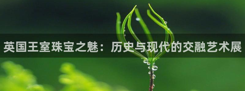 开丰娱乐网址：英国王室珠宝之魅：历史与现代的交融艺术展