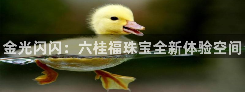 开丰娱乐后7O667：金光闪闪：六桂福珠宝全新体验空间