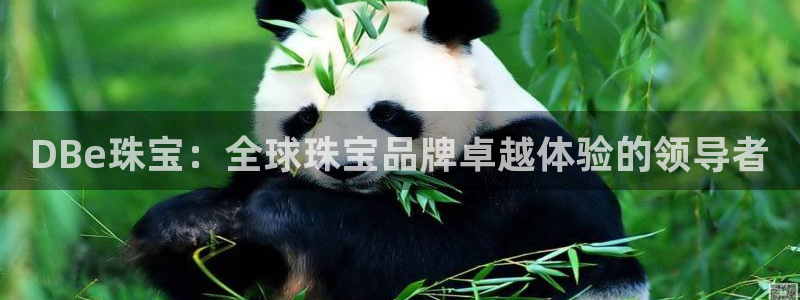 开丰娱乐注册资金多少：DBe珠宝：全球珠宝品牌卓越体验的领导者