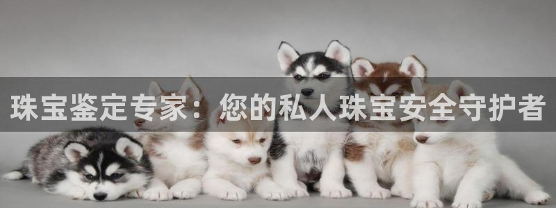 开丰娱乐线路：珠宝鉴定专家：您的私人珠宝安全守护者
