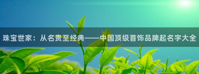 开丰娱乐官网平台：珠宝世家：从名贵至经典——中国顶级首饰品牌起名字大全