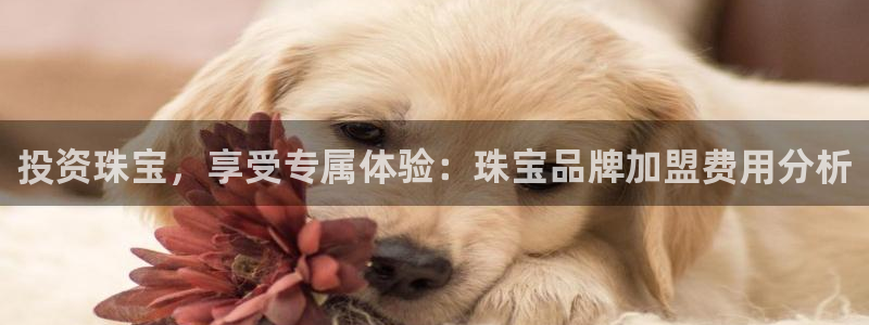 开丰娱乐山67五壹叁八：投资珠宝，享受专属体验：珠宝品牌加盟费用分析