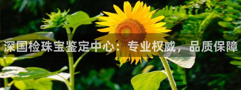 开丰娱乐会员中心