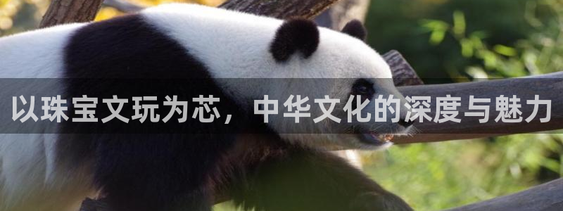 开丰娱乐平台地址电话：以珠宝文玩为芯，中华文化的深度与魅力
