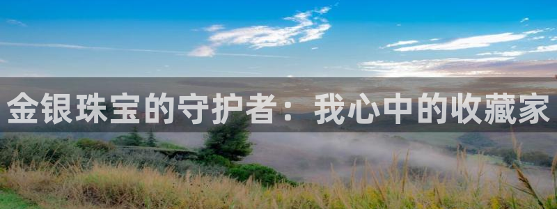 开丰娱乐登录地址入口：金银珠宝的守护者：我心中的收藏家