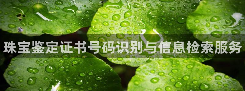 开丰娱乐上：珠宝鉴定证书号码识别与信息检索服务
