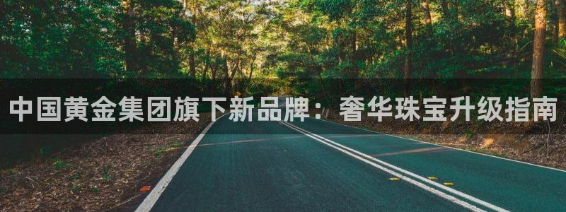 开丰娱乐后7O667：中国黄金集团旗下新品牌：奢华珠宝升级指南