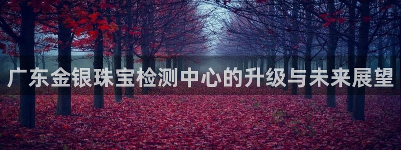 开丰娱乐登陆地址