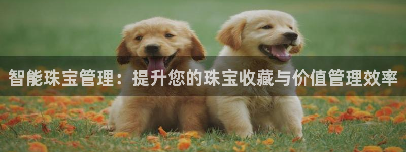 开丰娱乐注册自判官333OO：智能珠宝管理：提升您的珠宝收藏与价值管理效率