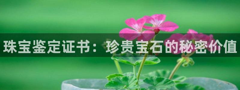 开丰娱乐寸67五壹叁八：珠宝鉴定证书：珍贵宝石的秘密价值