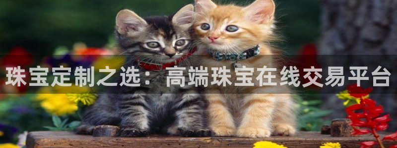 下载开丰娱乐：珠宝定制之选：高端珠宝在线交易平台