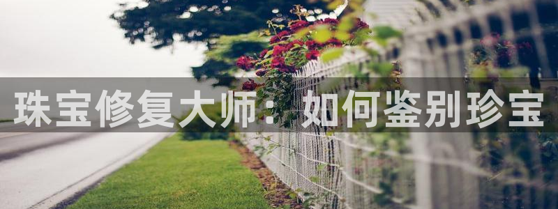 开丰娱乐开户：珠宝修复大师：如何鉴别珍宝