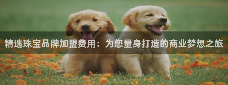 开丰娱乐登录注册：精选珠宝品牌加盟费用：为您量身打造的商业梦想之旅