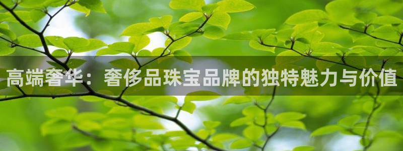 开丰娱乐万六七五一38：高端奢华：奢侈品珠宝品牌的独特魅力与价值
