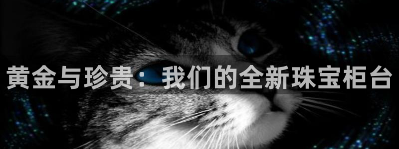 开丰娱乐网站官网入口：黄金与珍贵：我们的全新珠宝柜台