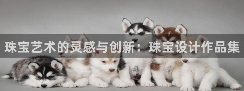 开丰娱乐登陆地址：珠宝艺术的灵感与创新：珠宝设计作品集