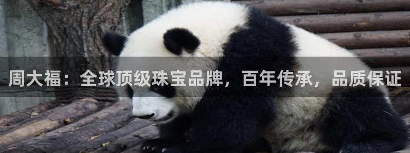 开丰娱乐线路：周大福：全球顶级珠宝品牌，百年传承，品质保证