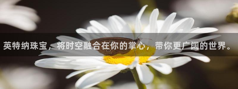 开丰娱乐登录注册：英特纳珠宝，将时空融合在你的掌心，带你更广阔的世界。