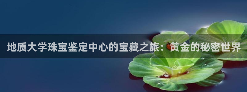 开丰娱乐手机app：地质大学珠宝鉴定中心的宝藏之旅：黄金的秘密世界