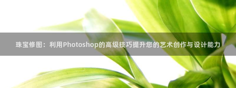 开丰娱乐官网平台：珠宝修图：利用Photoshop的高级技巧提升您的艺术创作与设