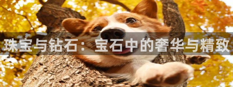 开丰娱乐最新活动：珠宝与钻石：宝石中的奢华与精致