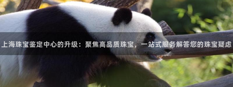 开丰娱乐寸67五壹叁八：上海珠宝鉴定中心的升级：聚焦高品质珠宝，一站式服务解答您