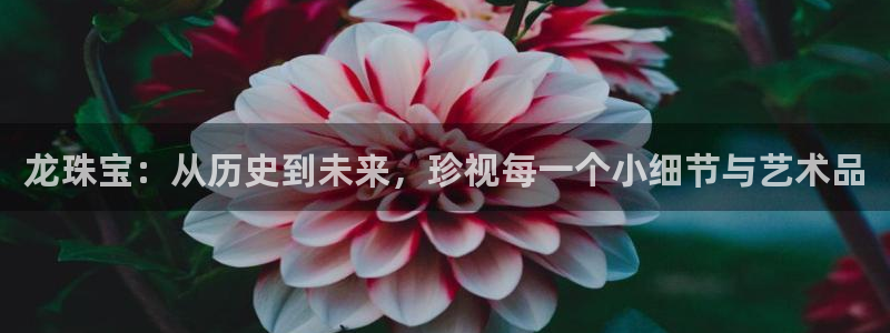 开丰娱乐网站：龙珠宝：从历史到未来，珍视每一个小细节与艺术品