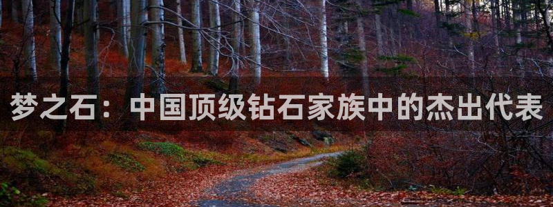 开丰娱乐官网登录网址：梦之石：中国顶级钻石家族中的杰出代表