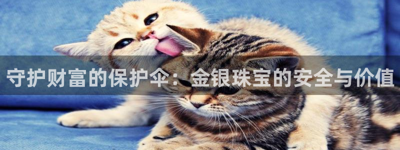 开丰娱乐注册自判官333OO：守护财富的保护伞：金银珠宝的安全与价值