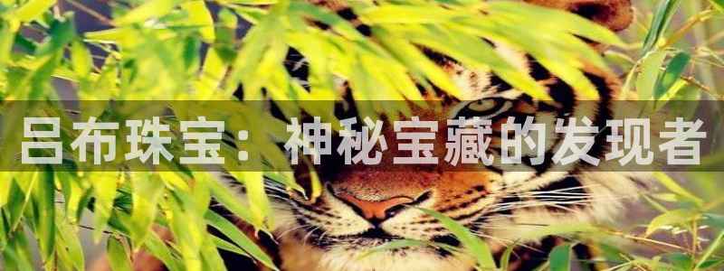 开丰娱乐登入地址查询：吕布珠宝：神秘宝藏的发现者