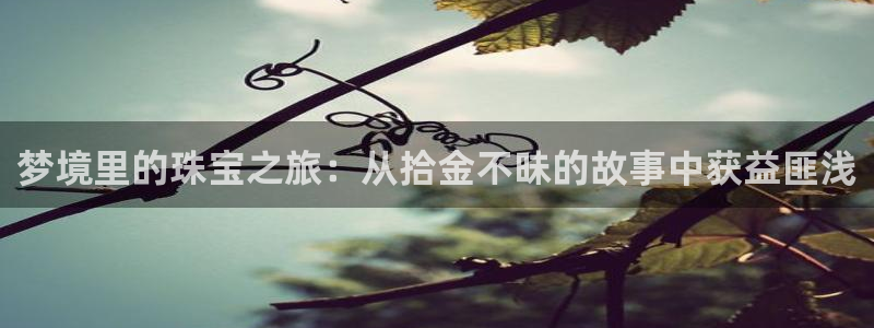 开丰娱乐登录平台：梦境里的珠宝之旅：从拾金不昧的故事中获益匪浅