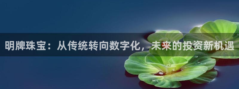 开丰娱乐月：明牌珠宝：从传统转向数字化，未来的投资新机遇