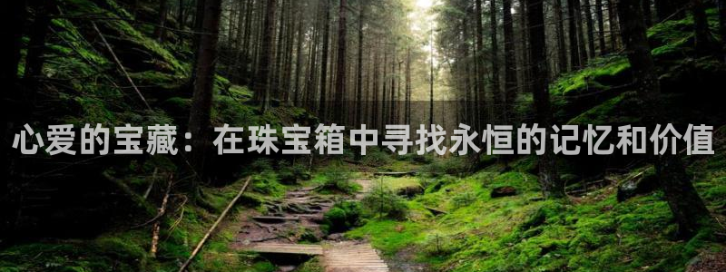 开丰娱乐网站官网：心爱的宝藏：在珠宝箱中寻找永恒的记忆和价值