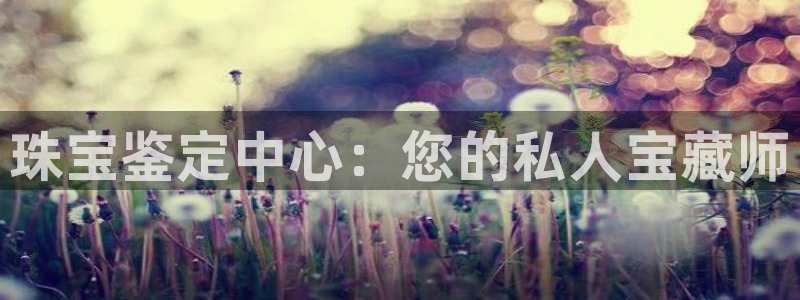 开丰娱乐天富娱乐：珠宝鉴定中心：您的私人宝藏师