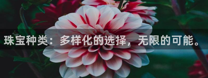 开丰娱乐巾67五壹叁八：珠宝种类：多样化的选择，无限的可能。